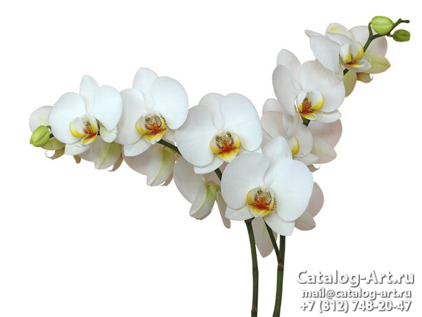 Натяжные потолки с фотопечатью - Белые орхидеи 6